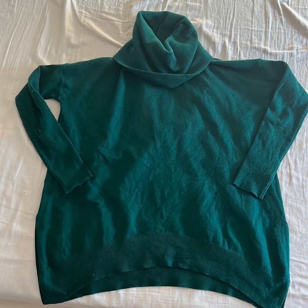Teal turtleneck sweater